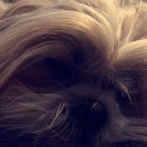 Meet your Posher, Tanjalyn